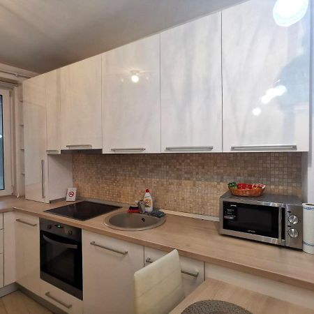 Contemporary Central Apartment In Cluj Napoca المظهر الخارجي الصورة