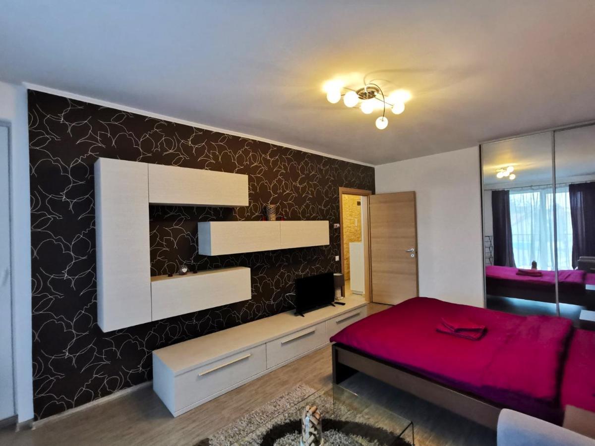 Contemporary Central Apartment In Cluj Napoca المظهر الخارجي الصورة