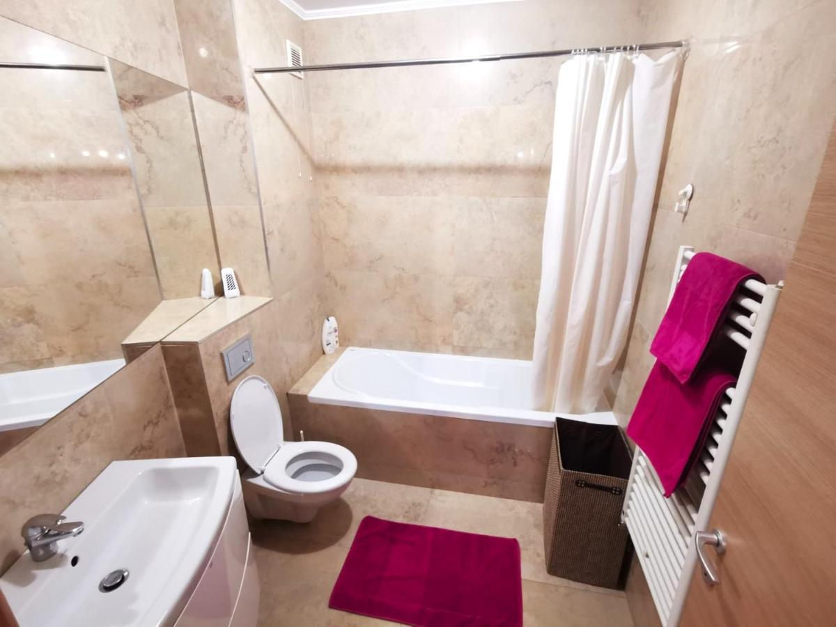 Contemporary Central Apartment In Cluj Napoca المظهر الخارجي الصورة