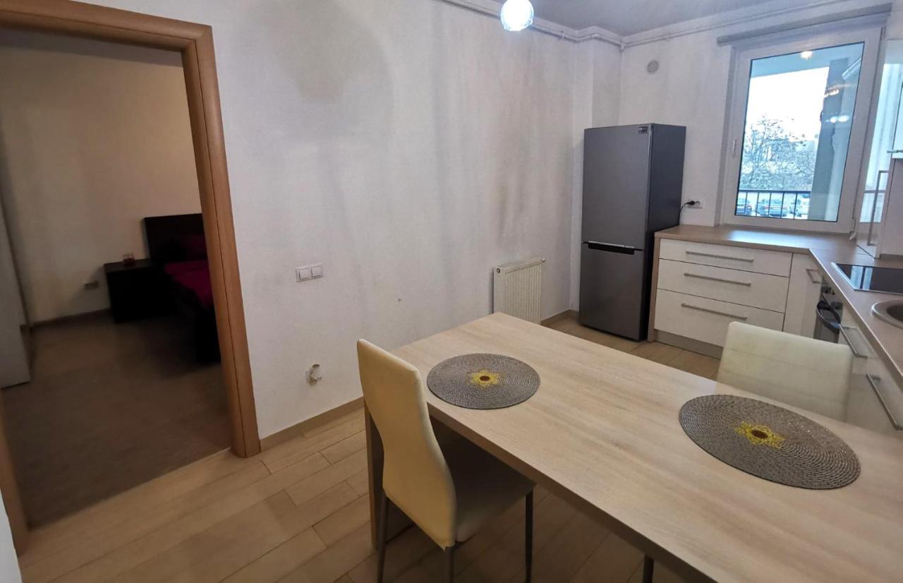 Contemporary Central Apartment In Cluj Napoca المظهر الخارجي الصورة