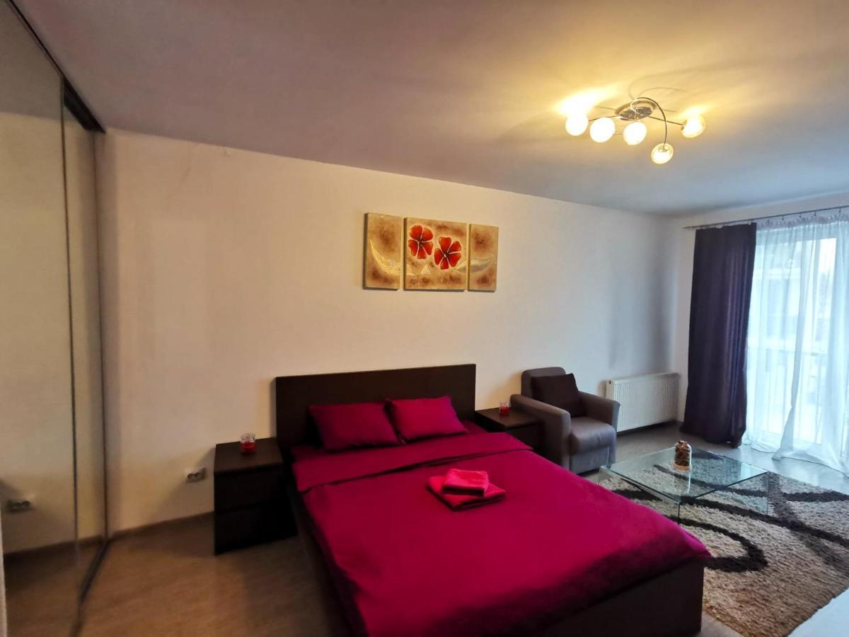 Contemporary Central Apartment In Cluj Napoca المظهر الخارجي الصورة
